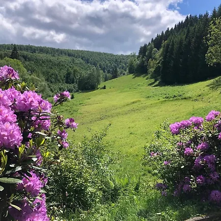 Feriehus Rueckzugsort Am Teich In Winterberg, Cleaning Included *