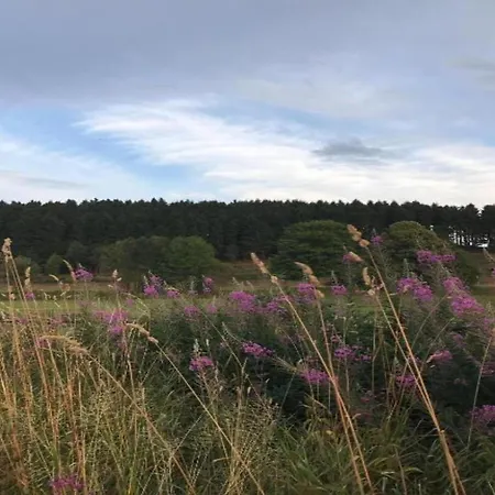 Rueckzugsort Am Teich In Winterberg, Cleaning Included Βίντερμπεργκ