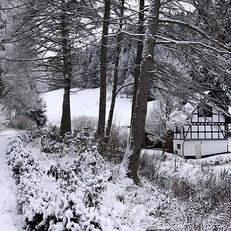 Rueckzugsort Am Teich In Winterberg, Cleaning Included Feriehus