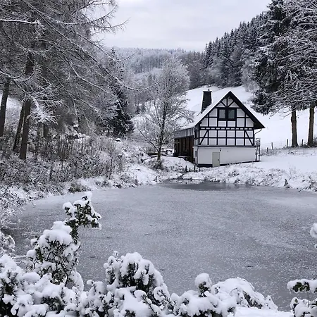 Rueckzugsort Am Teich In Winterberg, Cleaning Included