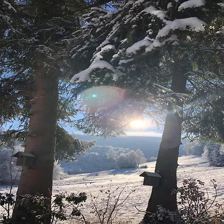 Rueckzugsort Am Teich In Winterberg, Cleaning Included Σπίτι διακοπών