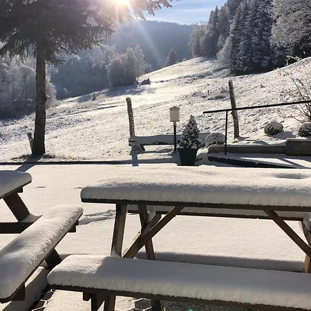 Σπίτι διακοπών Rueckzugsort Am Teich In Winterberg, Cleaning Included *